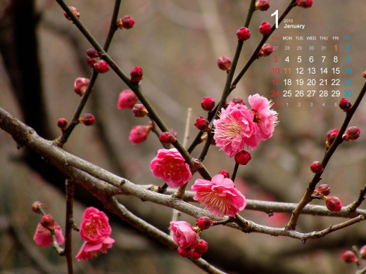 401654 (a): :1600x1200